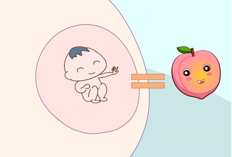 CHUYỆN MANG THAI: TUẦN 13: NHỮNG “NGƯỜI BẠN MỚI” XUNG QUANH BÉ