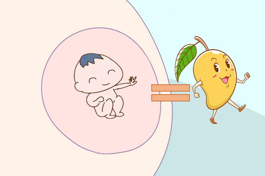 CHUYỆN MANG THAI: TUẦN 23: MỘT “QUẢ XOÀI” MẠNH MẼ